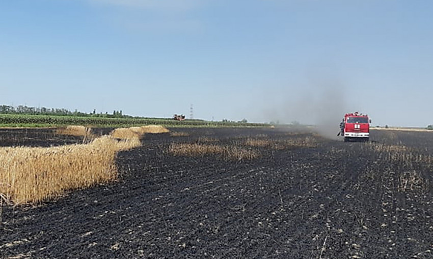 В Николаеве и Николаевской области из-за поджогов бушуют масштабные пожары