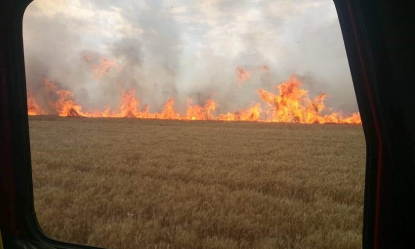 В Вознесенском районе из-за брошенной спички полностью сгорело 7 гектар пшеницы