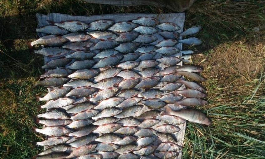 Рыбоохранный патруль задержал браконьера в 13 килограммами тарани, судака и пузанка
