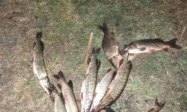 В селе Пересадовка задержан браконьер с крупным уловом рыбы