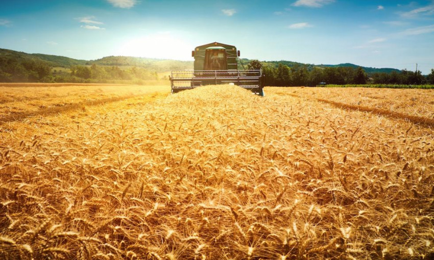 В Николаевской области завершается уборочной кампании ранних зерновых