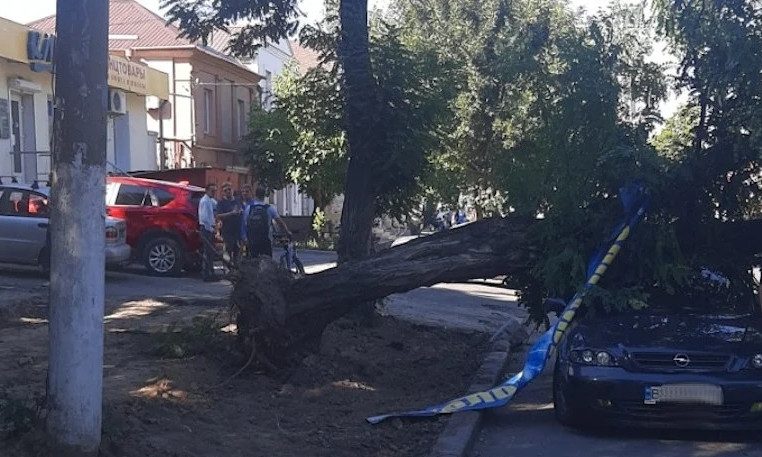 Автомобили николаевцев придавило упавшее дерево