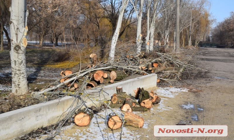 В Николаеве в сквере на речвокзале вырубили деревья