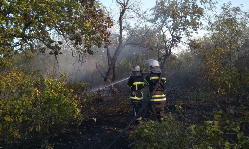 В Вознесенском районе неизвестные снова подожгли лесной массив