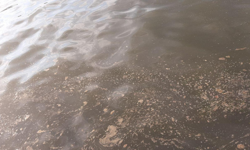 В реке Ингул купаться невозможно 