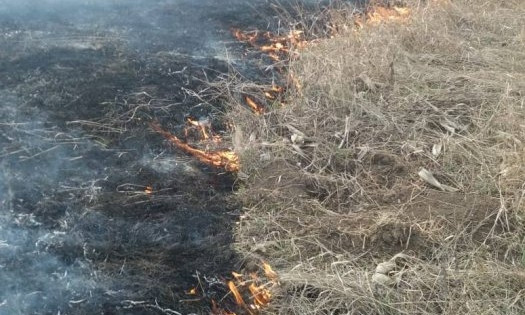 В Николаевской области масштабные степные пожары из-за поджога сухой травы