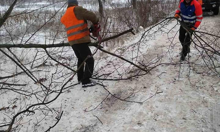 На Николаевщине дорожники обрезают кроны деревьев, которые нависают над проезжей частью 