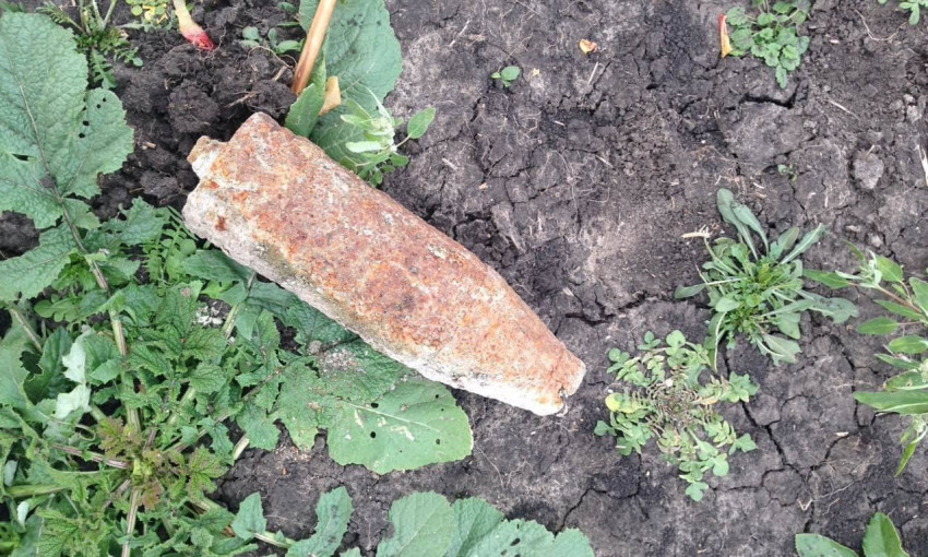 Во время выпаса скота житель Зеленого Гая обнаружил снаряд, пролежавший в земле более 70 лет