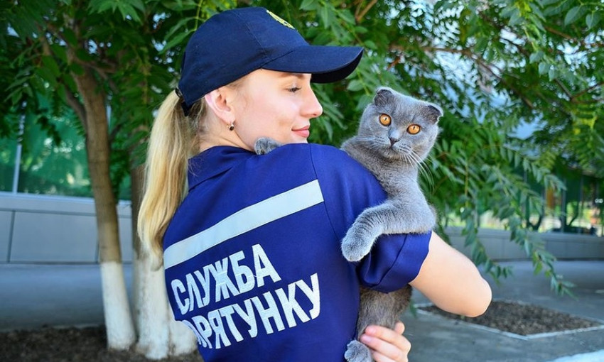 Спасатели Николаевщины призвали делиться добротой с бездомными животными