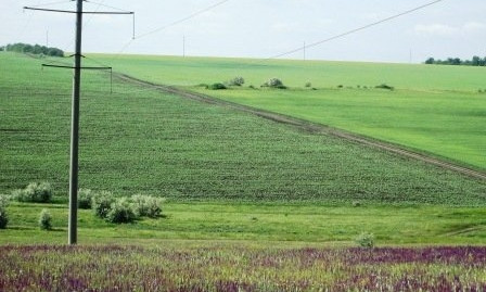 На Николаевщине фермерское хозяйство незаконно использует земельный участок