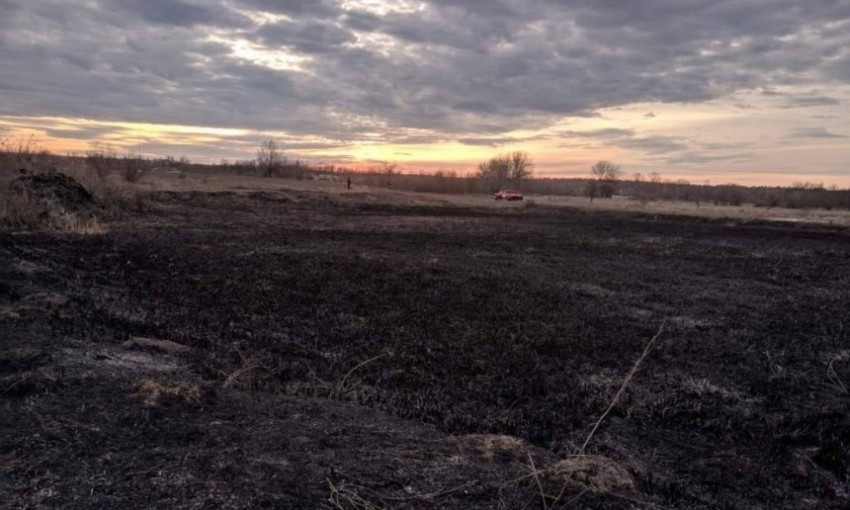На Николаевщине из-за поджога выгорело 2 гектара камыша