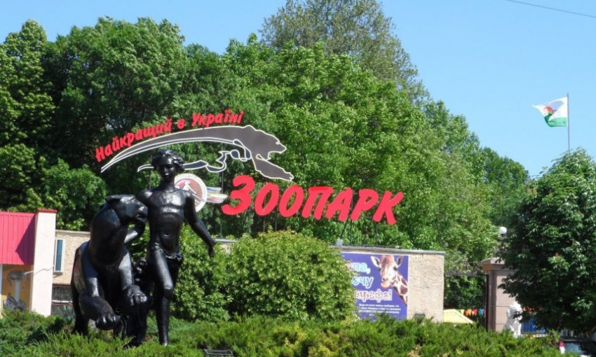 В Николаевском зоопарке планируют построить новые вольеры для хищников за 16 млн грн