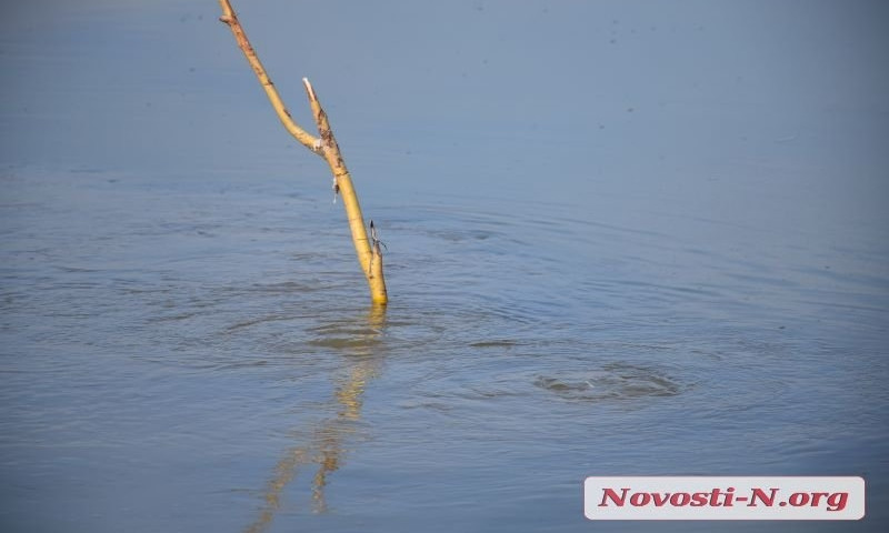 На Намыве канализационные стоки текут в Южнобугский лиман