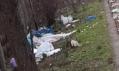 «Лежит неделю и никто не убирает»: николаевцы жалуются на мусор во дворах