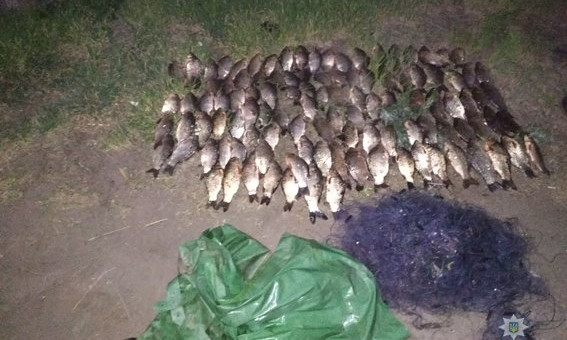 В водоемах Николаевской области обнаружили четырех браконьеров с сетями и рыбой