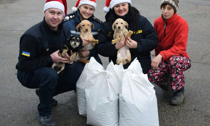 В приюте «Город собак» николаевские пушистики получили новогодние угощения от издателей и спасателей
