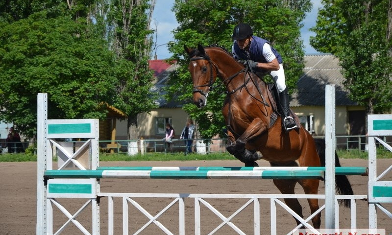 Чемпионат по конному спорту стартовал в Николаеве