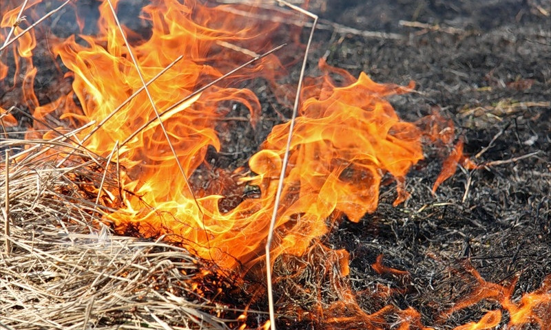 За вчерашние сутки пожарные Николаевщины пять раз привлекались к тушению пожаров на открытых территориях