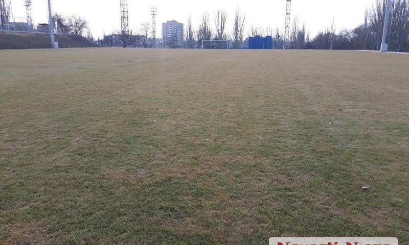 В Николаеве пожелтел вновь уложенный натуральный газон тренировочного поля