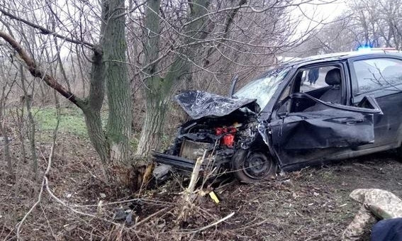 Полиция просит отозваться свидетелей: на трассе автомобиль врезался в дерево, водитель - погиб