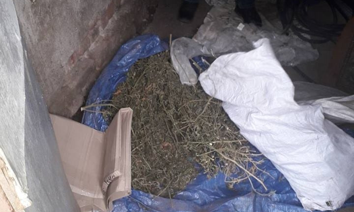 У жителя Баштанки нашли марихуаны на 48 тысяч гривен