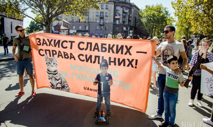 «Защита слабых — дело сильных»: Николаев присоединился к «Всеукраинскому маршу за животных»