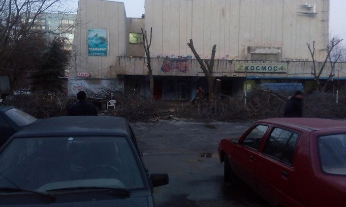 В Николаеве рабочие «под ноль» обрезали несколько здоровых деревьев