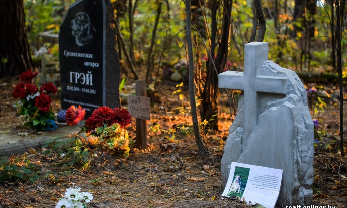 В Николаеве планируют создать специальное кладбище для домашних животных