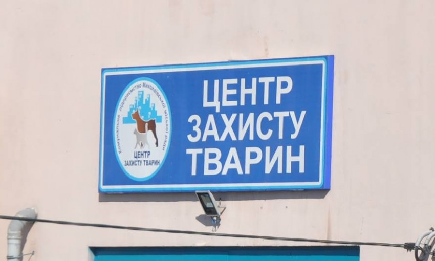 Николаевские общественники и депутаты пытаются влиять на хозяйственную деятельность КП «Центр Защиты Животных»