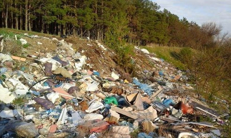 Окраину Матвеевского лесса продолжают забрасывать мусором