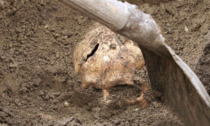 В Новоодесском районе местные жители возле жилого дома обнаружили человеческий череп