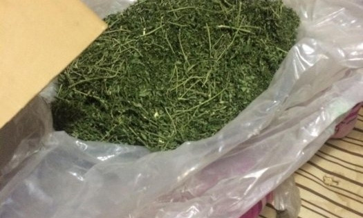 На Николаевщине местный житель хранил дома 1,5 кг каннабиса