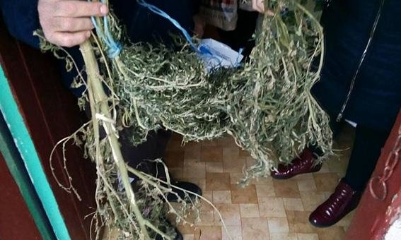 На Николаевщине правоохранители изъяли у семейной пары более килограмма наркотиков,- ФОТО
