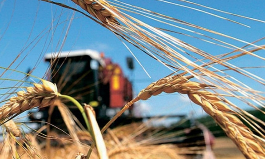 Николаевщина за 9 месяцев экспортировала зерна на 838 миллионов долларов США