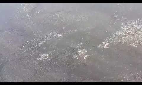В Николаеве акватория пляжа "Чайка" покрылась грязными пятнами