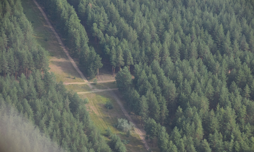Леса Николаевщины под присмотром с воздуха (видео)