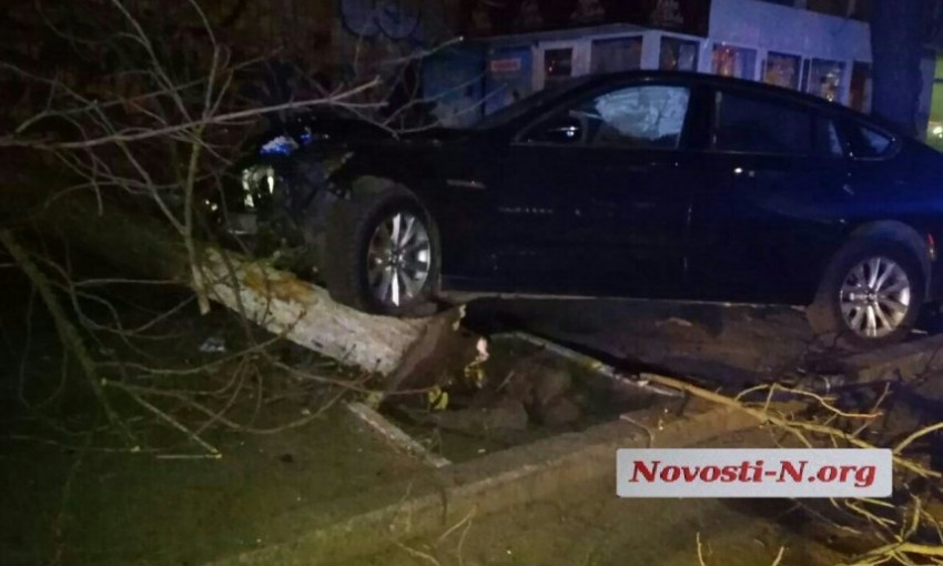 На улице Шевченко пьяный водитель врезался в дерево, тест показал более двух промилле алкоголя в крови
