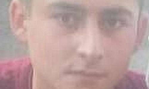 Полиция разыскивает без вести пропавшего 16-летнего Ариана Алиева
