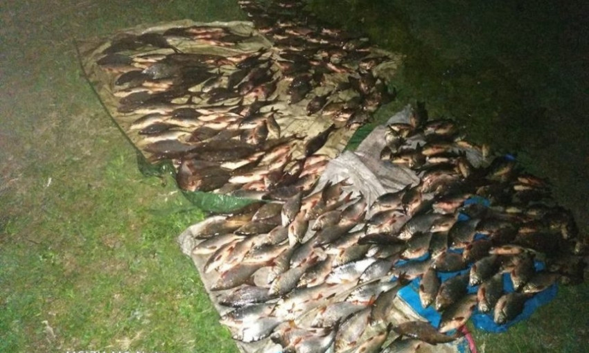 В Березанском районе задержаны браконьеры, незаконно выловившие рыбы на 45 тысяч гривен