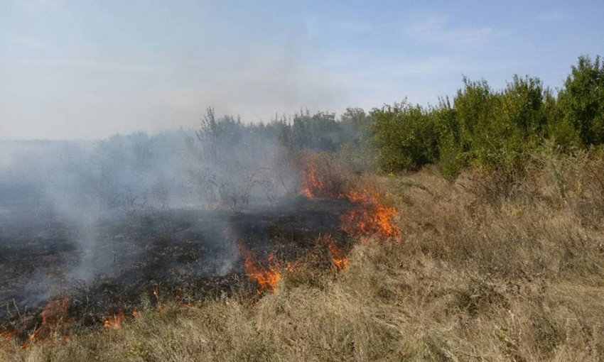 Пожары в Николаевской области ущерб всему живому