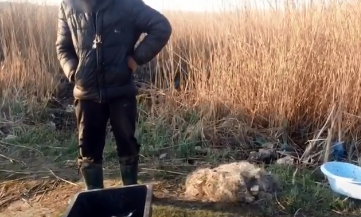 В Николаеве рано утром на реке Южный Буг поймали браконьеров с большим уловом: видео 