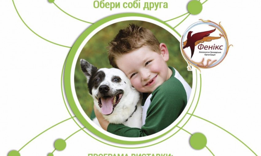 В парке Адмиралтейства пройдет выставка собак «У счастья нет породы»