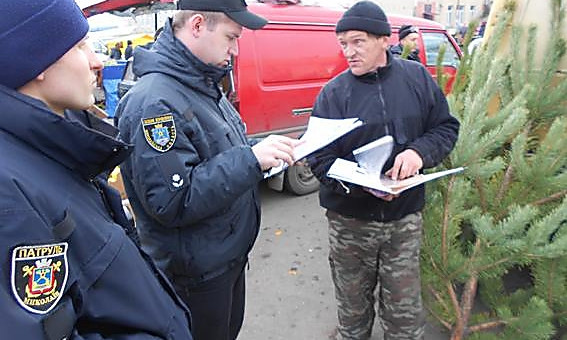 В Николаеве полицейские провели рейд по точкам продажи елок