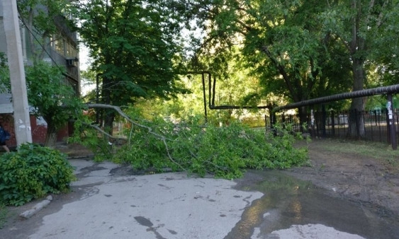 На Новобугской упала большая ветка и перегородила дорогу