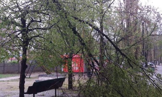 «Древопад продолжается»: в Николаеве сухостой упал на площадку во дворе многоэтажек