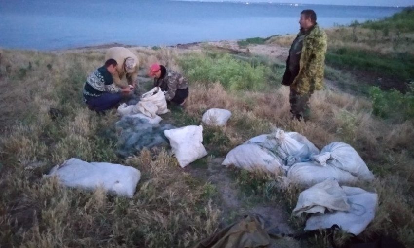 На Николаевщине браконьеры выловили сетями 166 кг карася