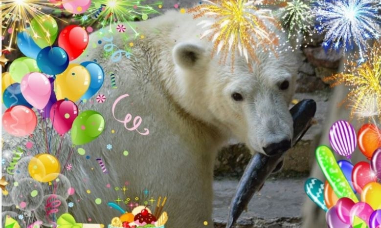 В Николаевском зоопарке праздник: Сметанка празднует свой третий день рождения 