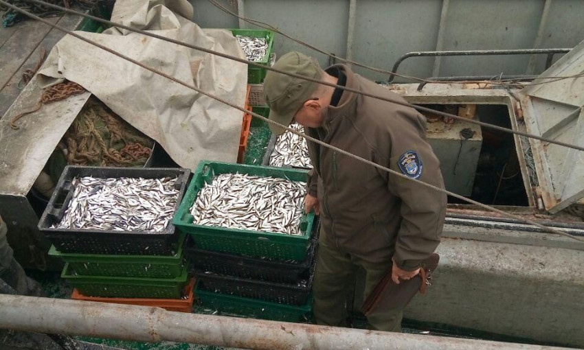 Сотрудники Николаевского рыбоохранного патруля помогли пожилым людям и бездомным