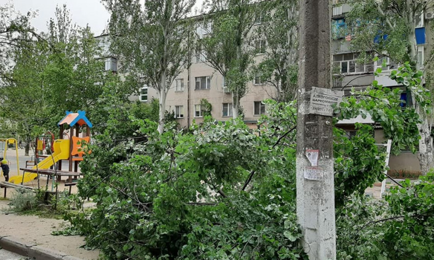 В Николаеве ветер свалил 3 дерева на детскую площадку 