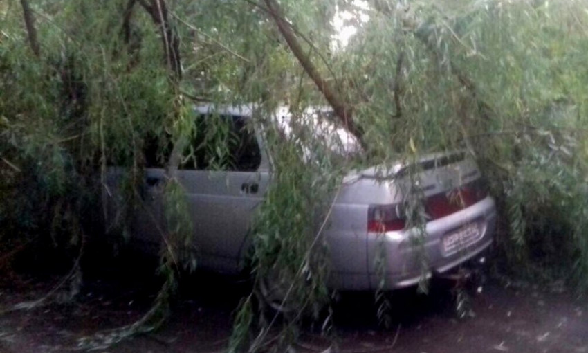 В Вознесенске на припаркованные автомобили упало дерево